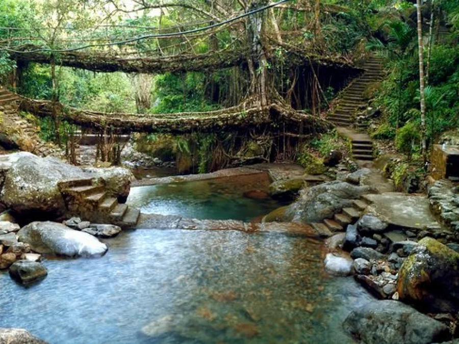 Himalayan Harmony Tour