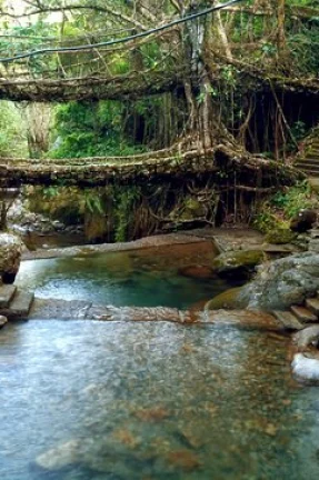 Himalayan Harmony Tour