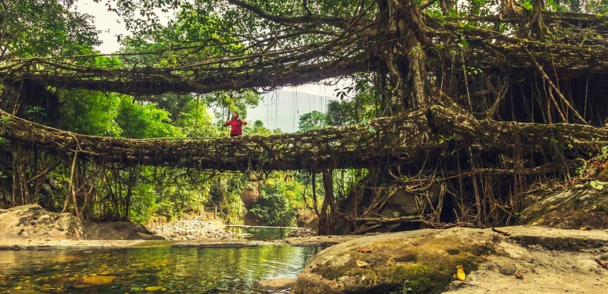 Himalayan Harmony Tour