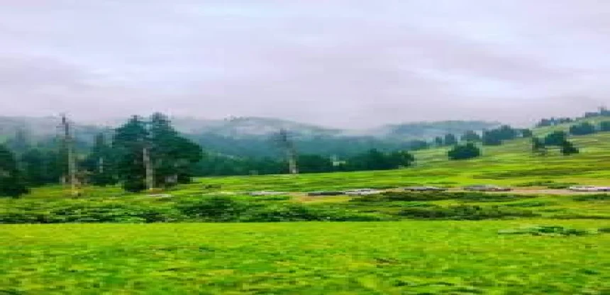 Essence of Kashmir Valley Tour