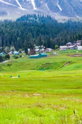 Srinagar Serenity Tour