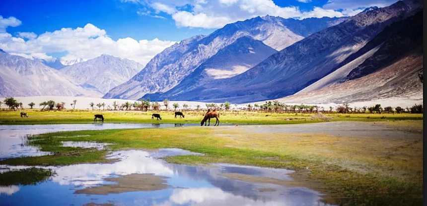 Highlights of Leh & Nubra Valley