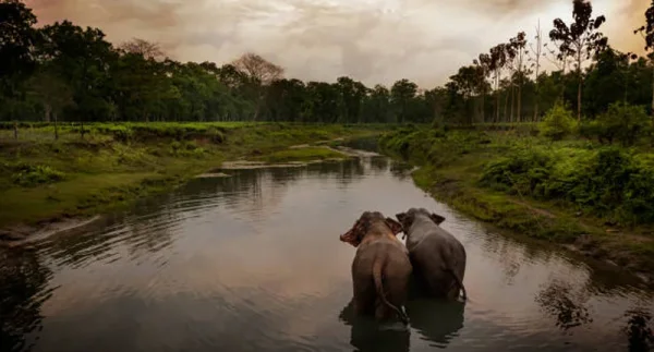 Cultural and Heritage Tour of India consider tourist as God where in Hindi, there is an axiom4