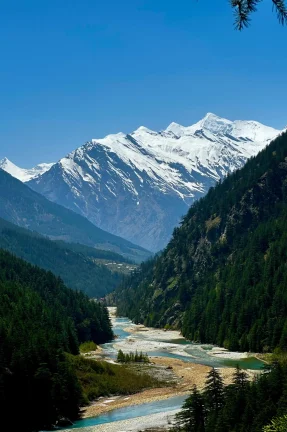 Harsil Valley Escape