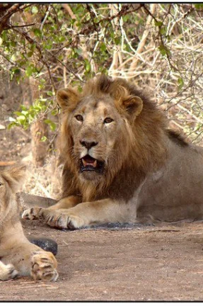 Grand North India Escape