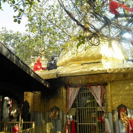 Nau-Devi Himachal Tour