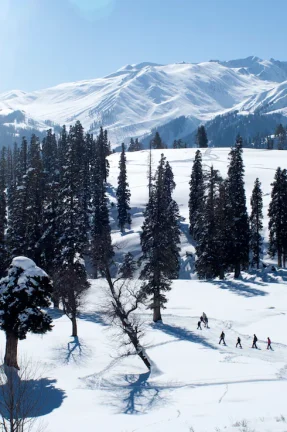 Snowy Kashmir Trail