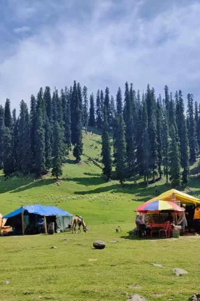 Scenic Treasures of Kashmir with Offbeat Villages